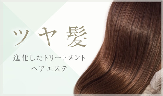 ツヤ髪進化したトリートメントヘアエステ